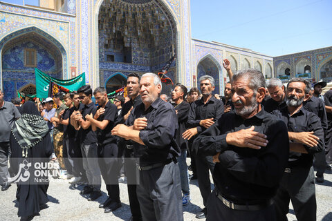 گزارش تصویری | عزاداری روز شهادت امام رضا (ع) در حرم مطهر رضوی