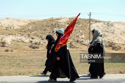 زائران پیاده حرم مطهر امام رضا (ع)