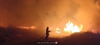 تلاش ۵ تیم آتش نشانی مشهد برای اطفای حریق گسترده ضایعات و شاخ و برگ درختان