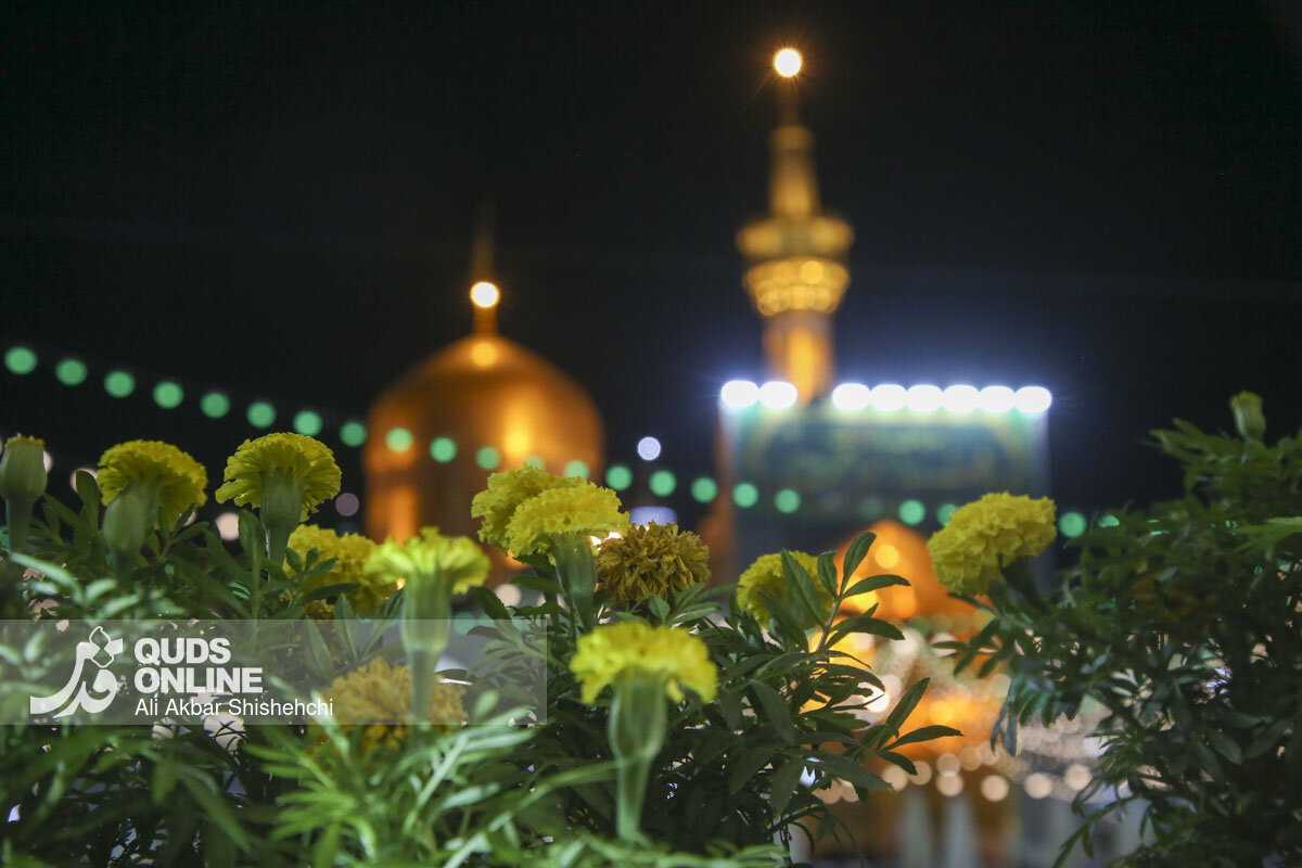فیلم | نغمه‌ای از جنوب برای امام رضا(ع)