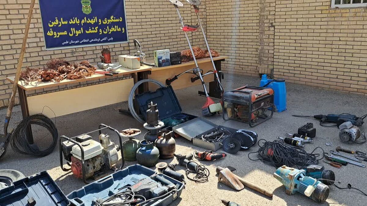 دستگیری باند سارقان میلیاردی در طبس