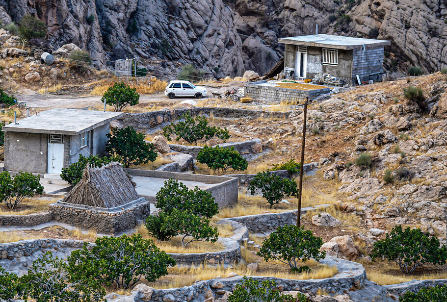 همه دنیا استهبان را به جنگل درخت‌های دیمش می‌شناسند/ چرخی در انجیرستان ایران