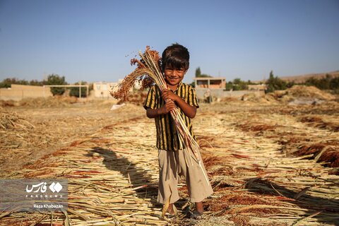 جاروبافی در روستای «مُلاحسن» خراسا‌ن‌شمالی
