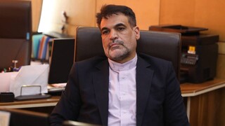 صندوق‌های ارزی سازوکاری برای تبدیل ذخایر راکد خانگی به منابع راهبردی تولید