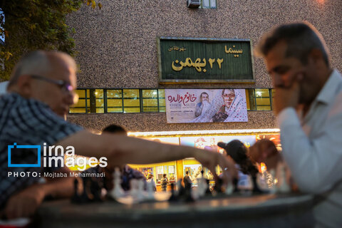 عکس | شطرنج بازان سبزه میدان رشت