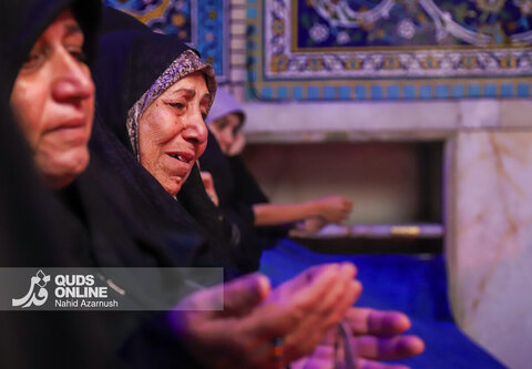 گزارش تصویری | برگزاری مراسم «مهمانی لاله‌ها» در حرم مطهر رضوی