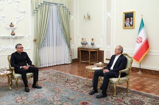 پزشکیان در دیدار با سفیر جدید هند: توافقات ایران و هند باید هرچه سریع‌تر اجرایی شود