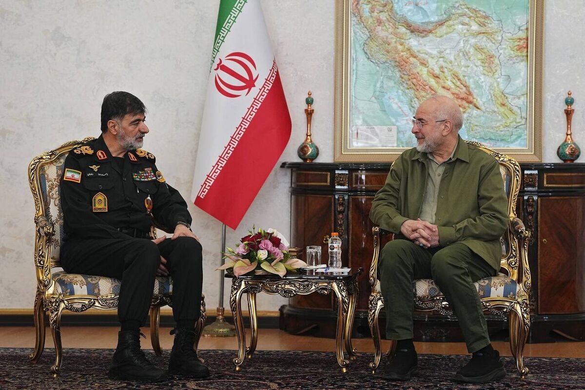 رئیس مجلس: دشمن در پی ایجاد ناامنی در داخل کشور است