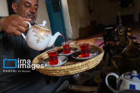 عکس | برداشت چای قرمز در روستای علوه