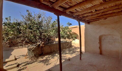 یک روز صرف تماشای آب و ارگ و تاریخ و تصوف، در گوشه جنوب شرقی/ سفرنامه سنگان