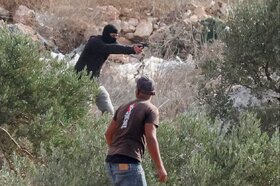 عکس | حمله شهرک‌نشینان صهیونیست به باغداران فلسطینی‌ هنگام برداشت زیتون