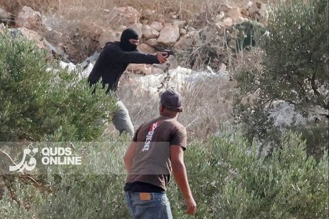 عکس | حمله شهرک‌نشینان صهیونیست به باغداران فلسطینی‌ هنگام برداشت زیتون