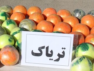 کشف بیش از ۴۳ کیلوگرم تریاک در بیرجند