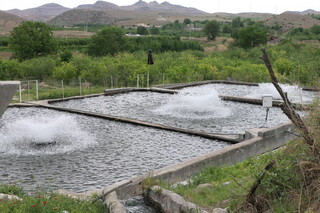 گردشگری شیلاتی؛ پیوند اقتصاد محلی با اشتغال‌زایی و توسعه پایدار در خراسان رضوی
