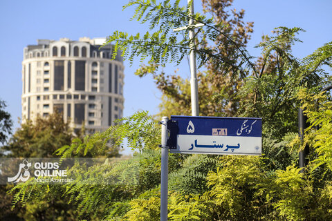 گزارش تصویری | بازگشت تابلوهای خیابان های دانشگاه و کوهسنگی
