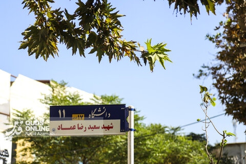 گزارش تصویری | بازگشت تابلوهای خیابان های دانشگاه و کوهسنگی