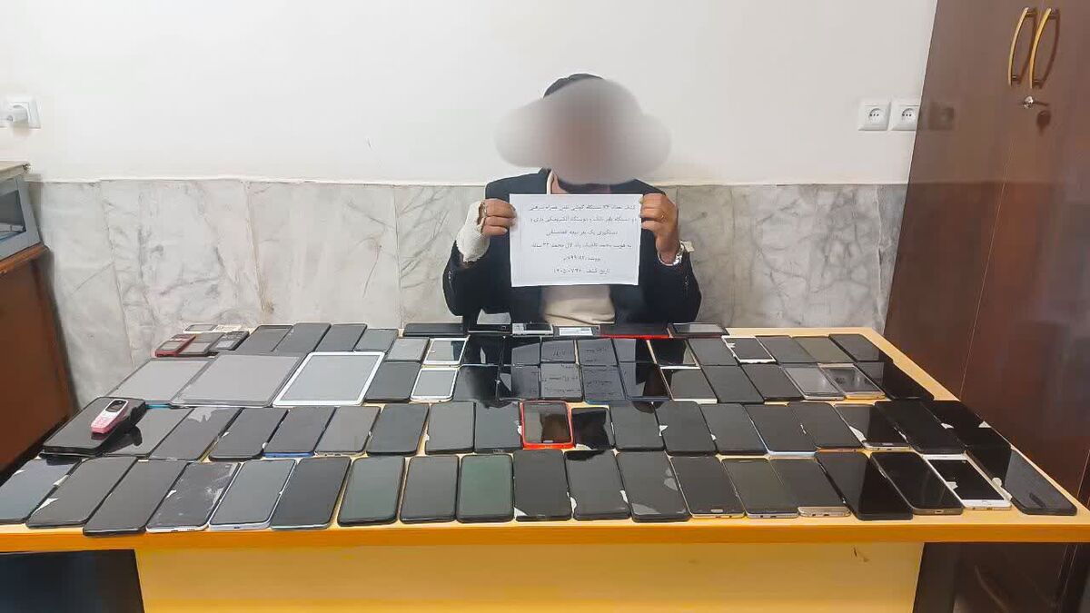 کشف ۷۴ دستگاه تلفن همراه سرقتی در هنگ مرزی تایباد
