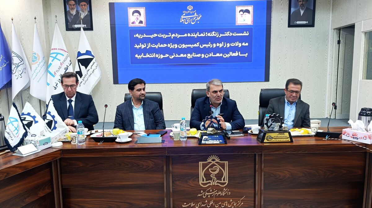 زنگنه: بروکراسی اداری مانع توسعه معادن تربت‌حیدریه است