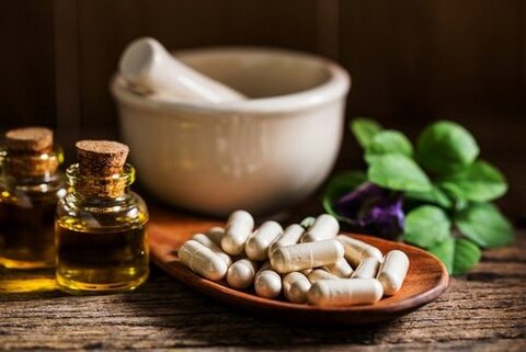 تولید آنتی‌بیوتیک گیاهی جدید با بهره‌گیری از ظرفیت درخت بلوط زاگرس