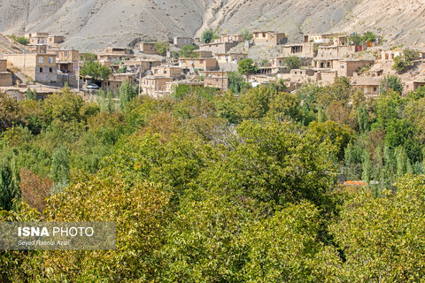 عکس | کلات نادری؛ قطب تولید گردوی خراسان رضوی