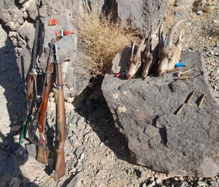دستگیری چهار شکارچی غیرمجاز در تربت‌حیدریه