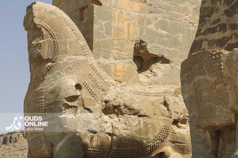 گزارش تصویری | میراث ماندگار پارس